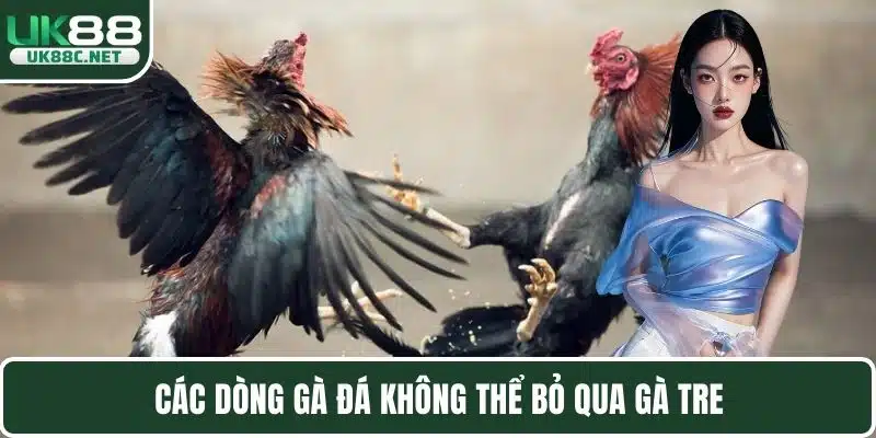 Các Dòng Gà Đá - Sàn Đấu Chiến Kê Trực Tuyến Hàng Đầu