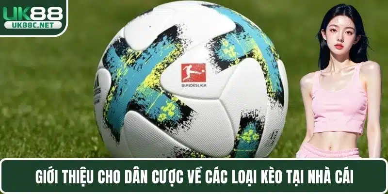 Kinh Nghiệm Bắt Kèo Tăng Tỷ Lệ Thắng Kèo Trong Cá Cược