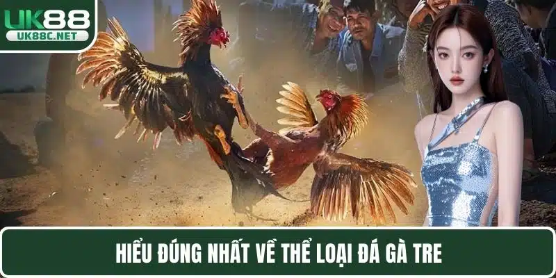 Đá Gà Tre – Theo Dõi Đa Dạng Trận Chọi Kê Đặc Sắc Nhất