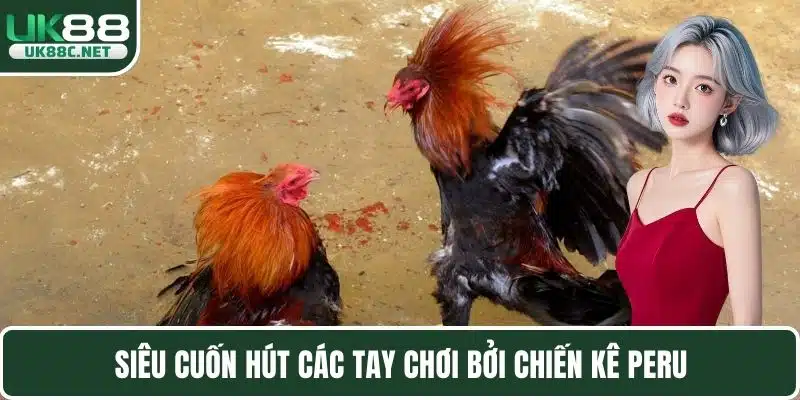 Các Dòng Gà Đá - Sàn Đấu Chiến Kê Trực Tuyến Hàng Đầu