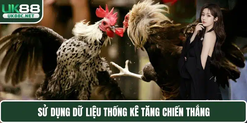 Đá Gà UK88 Mang Đến Các Trận Chọi Kê Đẳng Cấp Nhất