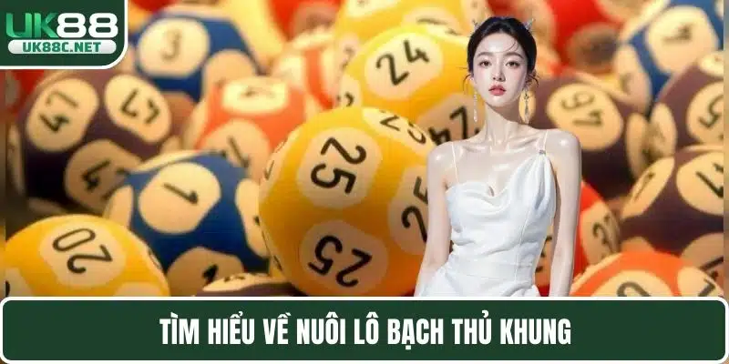 Nuôi Lô Bạch Thủ Khung Hay Và Chiến Lược Thông Minh
