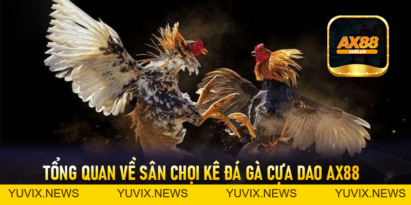 Đá Gà Cựa Dao Ax88 - Sảnh Cá Cược Trực Tuyến Đỉnh Cao Nhất Hiện Nay - ax88.pw