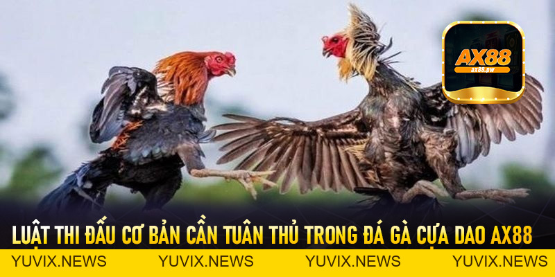 Đá Gà Cựa Dao Ax88 - Sảnh Cá Cược Trực Tuyến Đỉnh Cao Nhất Hiện Nay - ax88.pw