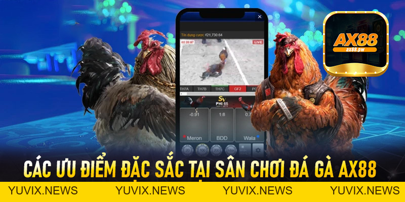 Đá Gà Ax88 - Đỉnh Cao Của Sân Chơi Chọi Kê Hiện Nay - ax88.pw