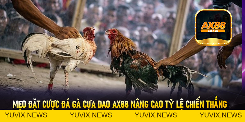 Đá Gà Cựa Dao Ax88 - Sảnh Cá Cược Trực Tuyến Đỉnh Cao Nhất Hiện Nay - ax88.pw