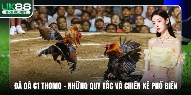 Đá Gà C1 Thomo - Những Quy Tắc Và Chiến Kê Phổ Biến
