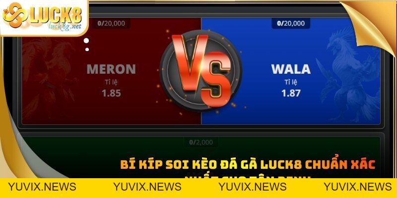 Đá Gà Luck8 - Trận Đấu Chọi Kê Kịch Tính Đỉnh Cao Hiện Nay